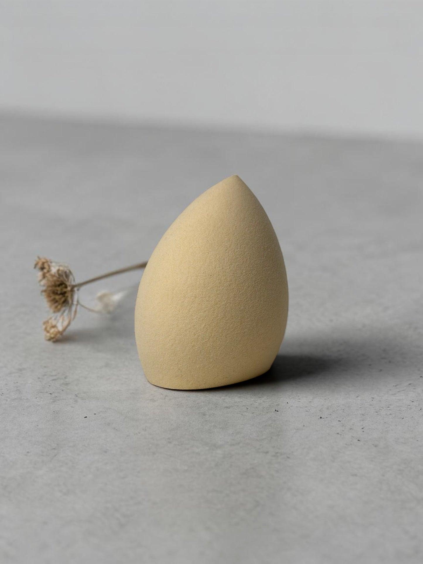 Professional Beauty Blender